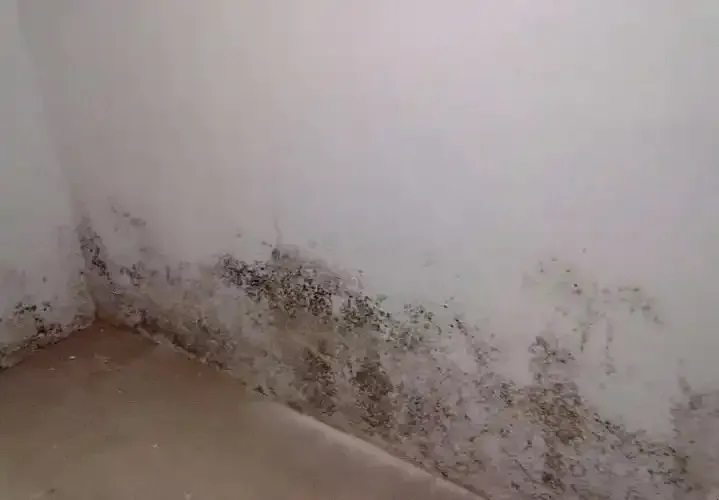 防水≠防渗！80%的人都弄错了！