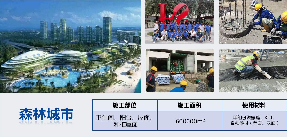 森林城市