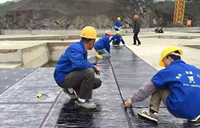 高分子防水卷材