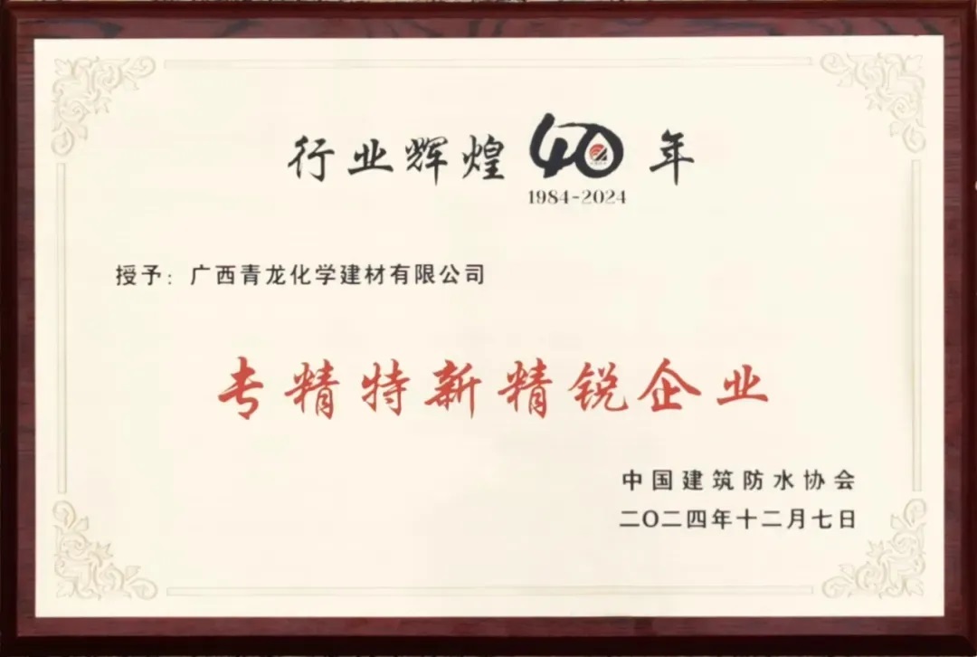 第八届青龙节