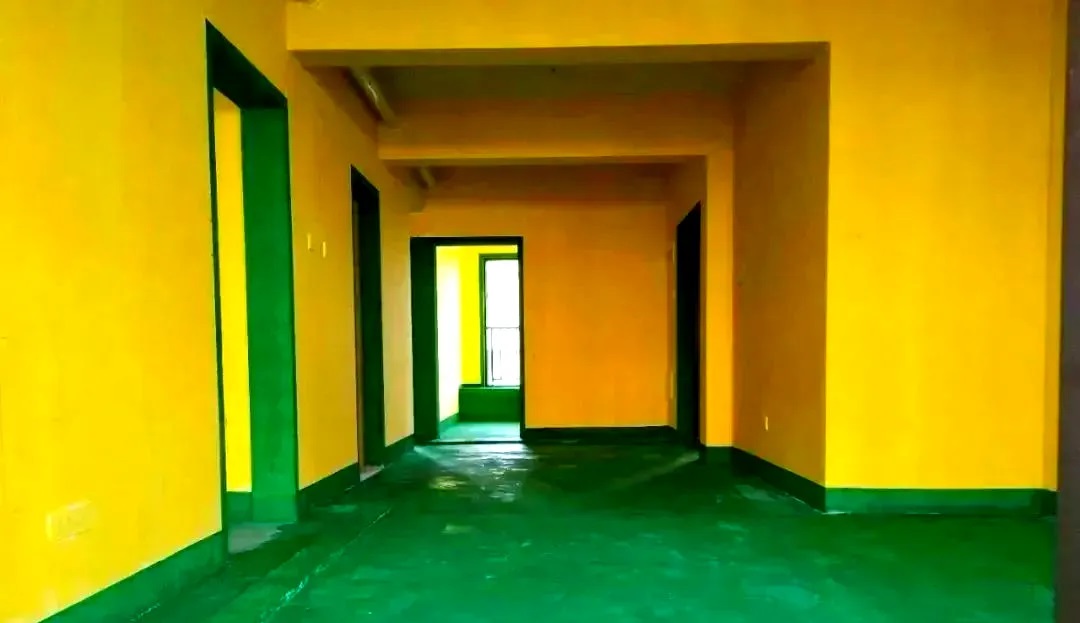 黄墙绿地2.jpg