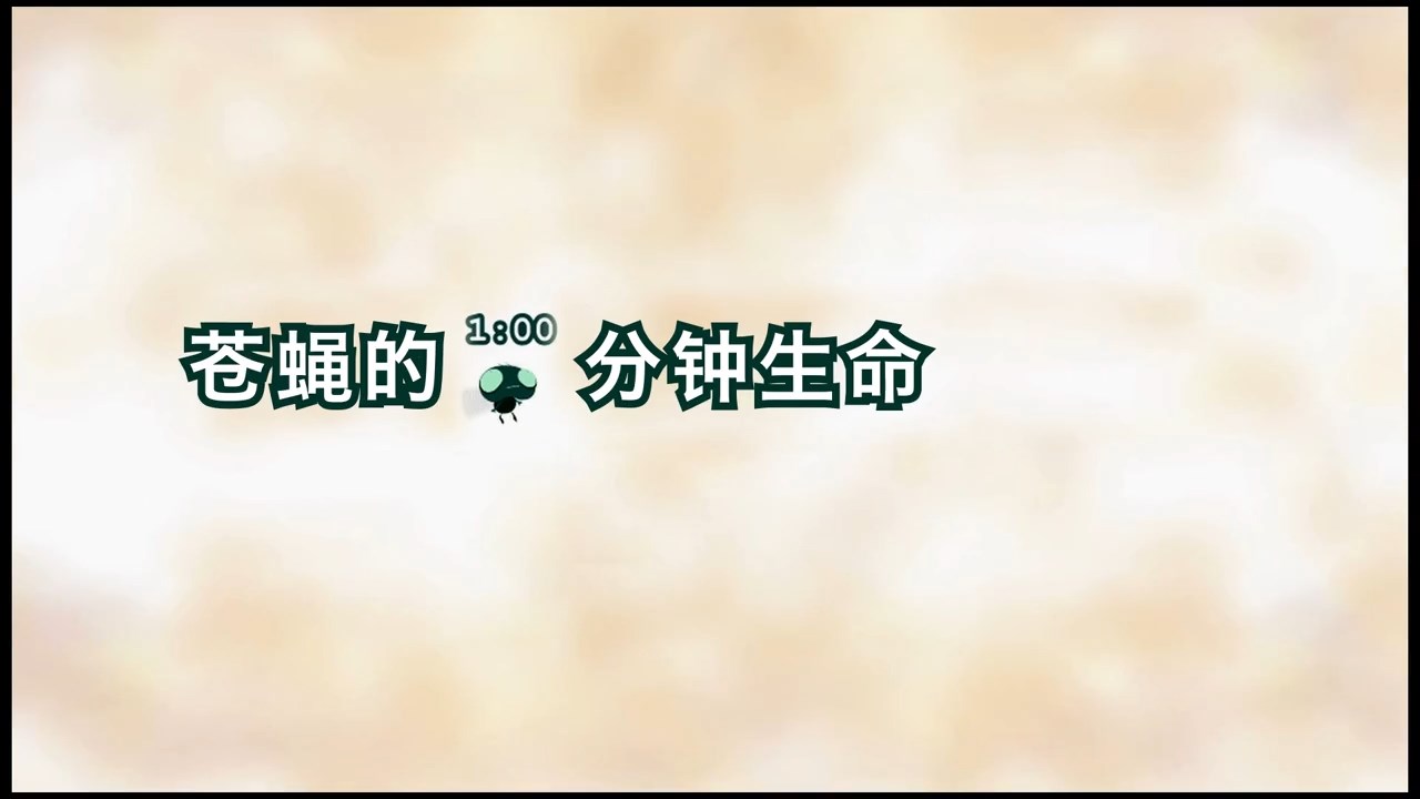 看完沉默了！苍蝇的 60 秒，道尽了生命的珍贵与力量