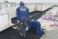 “青龙防水，滴水不漏”——青龙中海油矿区宿舍屋面改造工程获高度赞许