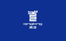 中山青龙防水重庆分公司修补某高档楼盘