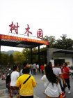 青龙化建星期六例行秋游 11月2日畅流中山树木园