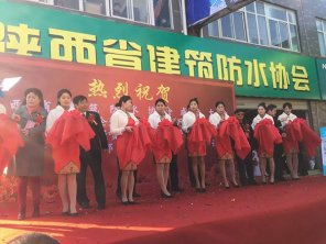 青龙受邀出席陕西省防水协会成立大会，见证中国建筑防水界发展史上的又一盛事